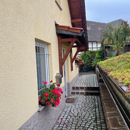 Seifersdorf  Ferienwohnung Muhlberg المظهر الخارجي الصورة