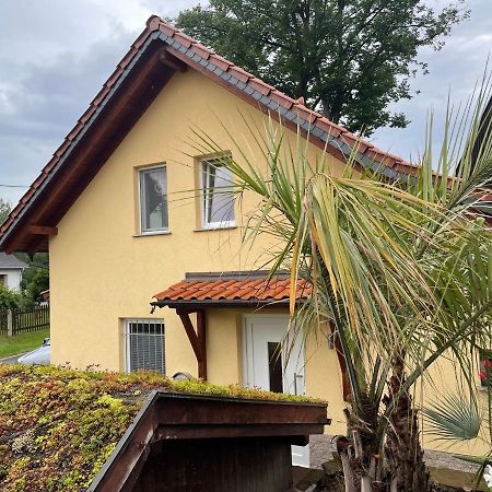 Seifersdorf  Ferienwohnung Muhlberg المظهر الخارجي الصورة